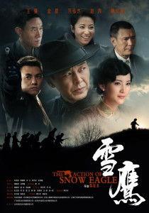 雪鹰在线视频,探寻冬日雪域的壮美与神秘