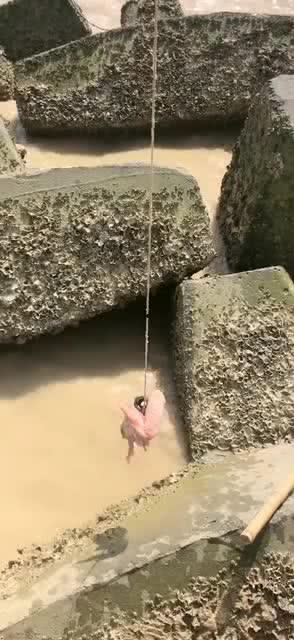 钓螃蟹在线视频下载,钓螃蟹视频教程下载攻略