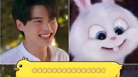 假偶天成在线视频